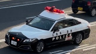 パトカー　緊急走行