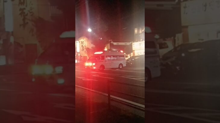 【緊急走行】飲食店から救急搬送開始!鹿児島市消防局谷山北非常用救急（南本署救急代車運用中）