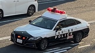パトカー　緊急走行