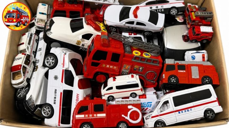 🚑🚒🚓 救急車・消防車・パトカーのミニカーを大量に箱に集めてみた！サイレン緊急出動＆坂道走行テスト☀️夏休み【子供向け】