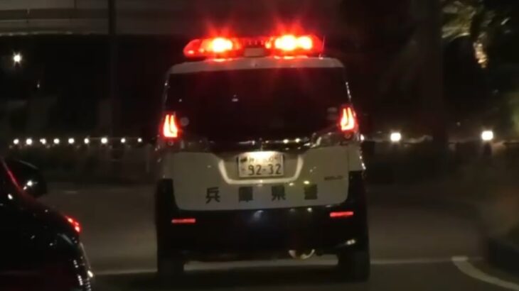 🚨パトカー🚨ミニパト🚨兵庫県警🚨夜間のパトロール🚨赤色灯🚨 #パトカー #ミニパト #兵庫県警 #赤色灯