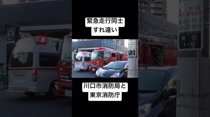 【緊急走行同士すれ違い】川口市消防局と東京消防庁