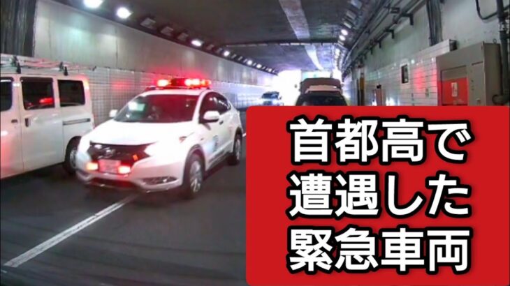 首都高で遭遇した緊急車両 #ドラレコ #ドライブレコーダー  #緊急走行 #緊急車両 #警視庁#パトカー  #首都高 #首都高速 #東京消防庁 #救急車