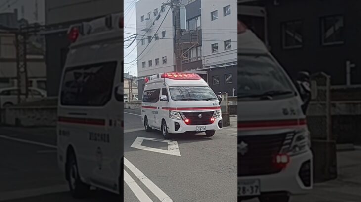 【緊急走行】今給黎総合病院へ救急搬送!鹿児島市消防局郡元救急隊