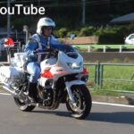 ノーヘルのガキがイキり走行！！白バイが現認し緊急走行で猛追！！•右折レーンから強引に割り込み！！パトカーが緊急走行！！•信号無視で白バイに捕まる若者•ヴェゼルパトカーが右折違反車を検挙！