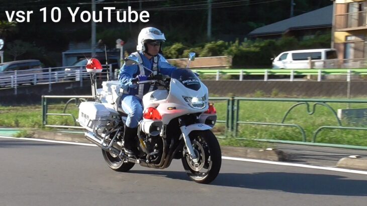 ノーヘルのガキがイキり走行！！白バイが現認し緊急走行で猛追！！•右折レーンから強引に割り込み！！パトカーが緊急走行！！•信号無視で白バイに捕まる若者•ヴェゼルパトカーが右折違反車を検挙！