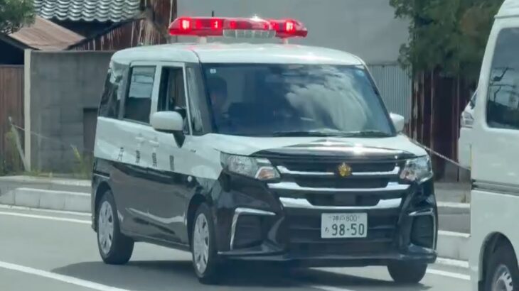 【最新型の赤色灯】 🚨パトカー🚨パトロール🚨兵庫県警🚨ミニパト🚨 #パトカー #パトロール #兵庫県警 #新型赤色灯