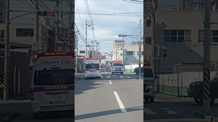 【緊急走行】救急車同士の鉢合わせ!鹿児島市消防局高度救急隊ドクターカー　甲南救急隊