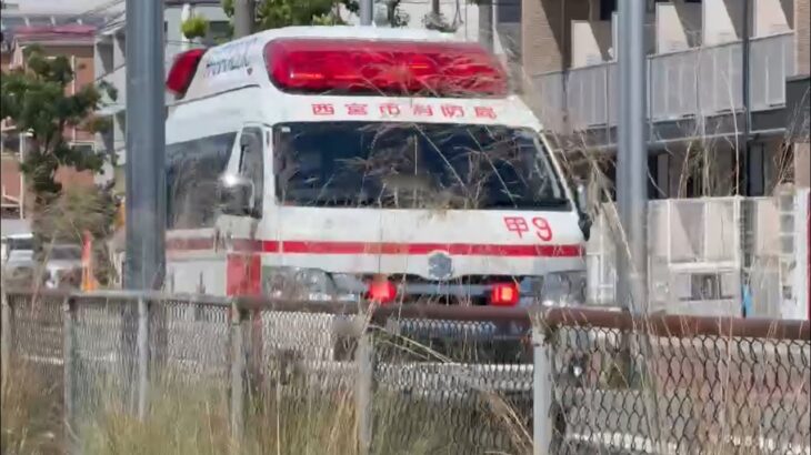 🚨赤信号の交差点を緊急走行🚨響き渡るサイレン🚨救急車🚨緊急走行🚨 #救急車 #緊急走行 #サイレン