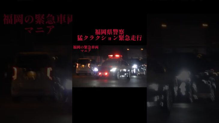 【緊急走行】猛クラクションとハキハキとしたマイクパフォーマンスで緊急走行するパトカー