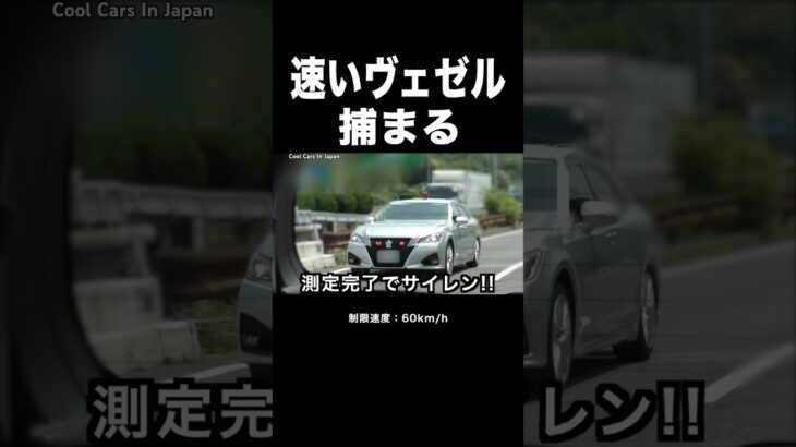 【覆面パトカー vs 速いヴェゼル】速度違反を捕まえる瞬間‼️ サイレン‼️ #shorts