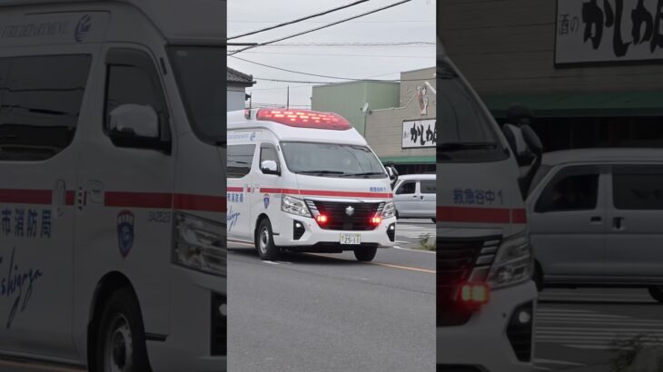 【今日も働く救急隊】越谷市消防局　救急車(日産パラメディック) 救急谷中1。緊急走行シーン！