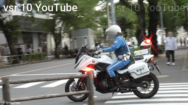 超危険なダブル歩行妨運転に周囲も驚愕！！白バイに長時間ごねるドライバー！！•一時停止ガン無視で通過したワーゲンを2台の白バイがお咎め！•女さんヴォクシー！停止線を完全ノーブレーキで通過！等