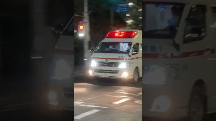 【夜の緊急走行2】柏市消防局　柏救急1．（予備車）　緊急走行