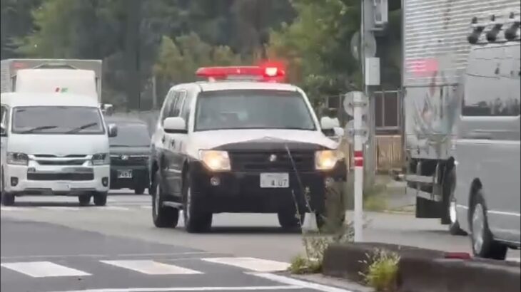 🚨様々なパトカー 走行3連発🚨兵庫県警🚨 #パトカー #走行動画 #兵庫県警 #赤色灯