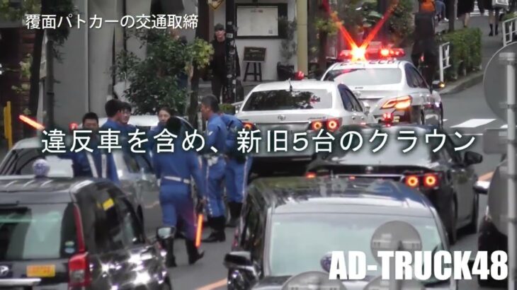 覆面パトカーに捕まったクラウン！イエローカットでゴネる親父に、応援にきたのは3台のクラウン(覆面＆白黒)