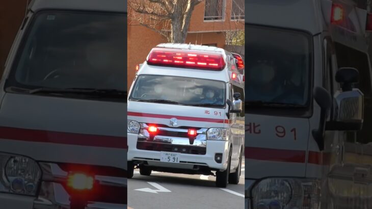 【緊急走行】北91&北93、緊急走行！【神戸市消防局】#shorts  #ショート #消防署 #消防車 #fire #firefighter #サイレン#救急車 #救急 #はしご車