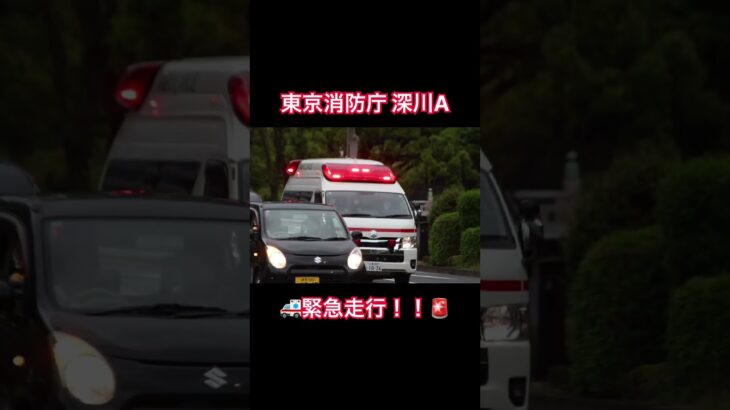 東京消防庁 深川消防署 深川救急 緊急走行‼️🚨🚑 #東京消防庁 #緊急車両 #緊急走行 #救急車 #深川A #赤色灯 #サイレン