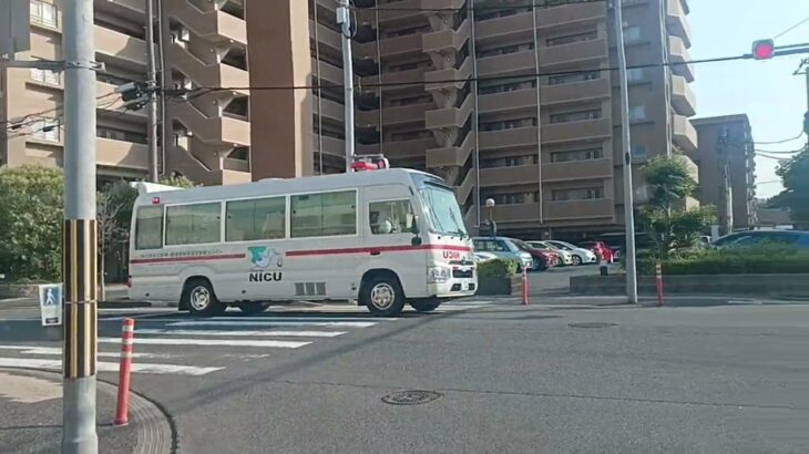 【緊急走行】ECMO搭載バス型救急車が市立病院へ転院搬送!鹿児島市立病院NICUドクターカー