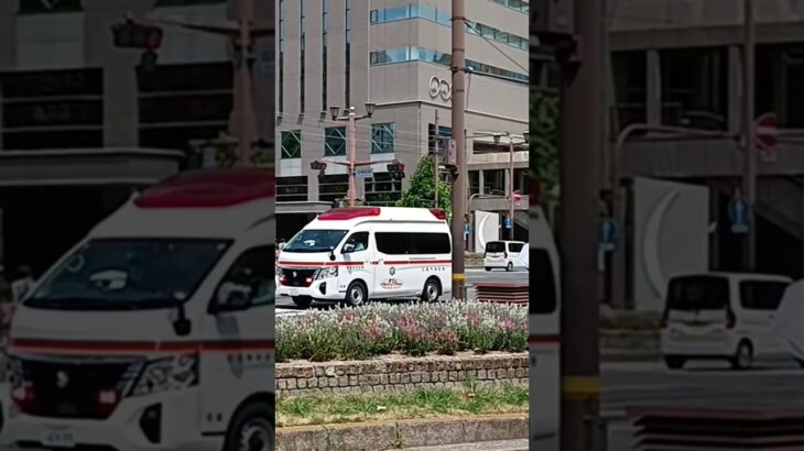 広島市消防局 パラメディック 緊急走行 #shorts #緊急走行 #救急車 #広島市消防局