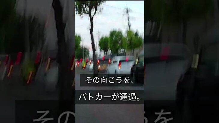 【#中年太りの日常】パトカーのとっさの判断がすごかった👍#群馬県警#パトカー#緊急走行#安全運転#クロスバイク#自転車#交通安全#shorts