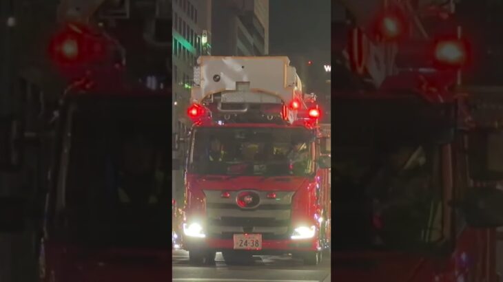 【緊急走行】中央梯子１、緊急走行！！【大阪市消防局】#shorts  #緊急走行 ＃消防車 #救急車 #emergency #fire #救急車＃サイレン