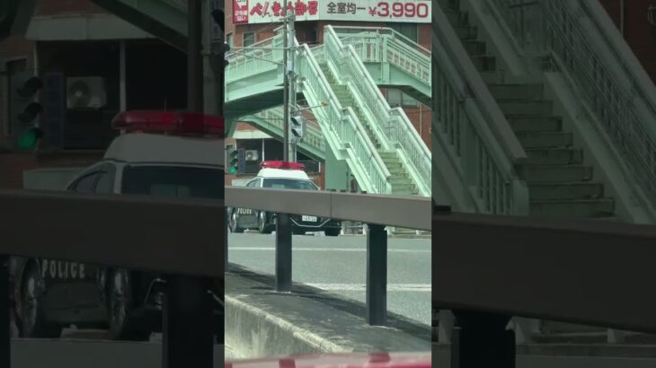 🚨パトカー🚨兵庫県警🚨赤色灯🚨クラウンパトカー🚨 #パトカー #兵庫県警 #走行動画 #赤色灯 #shorts #shortvideo #short