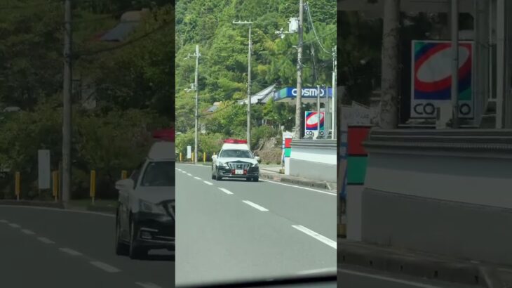 🚨赤色灯🚨パトカー🚨兵庫県警🚨パトロール🚨 #赤色灯 #パトカー #兵庫県警 #クラウンパトカー #shorts #shortvideo #short #shortsfeed