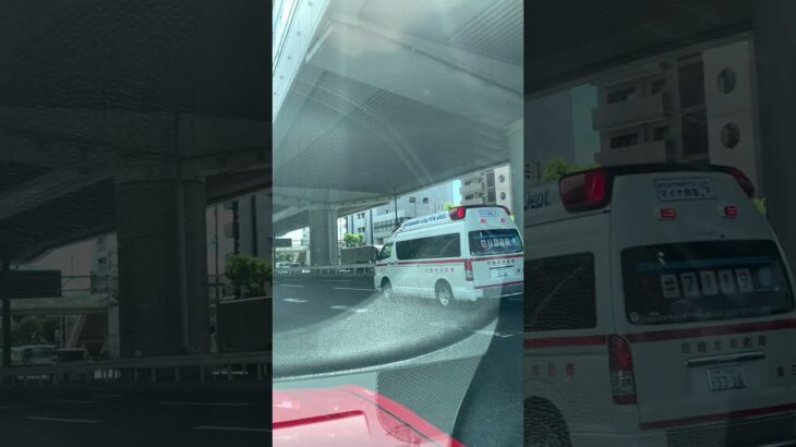 🚨救急車🚨緊急走行🚨尼崎市消防局🚨 #救急車 #緊急走行 #尼崎市消防局 #走行動画 #shorts #shortvideo #short #shortsfeed