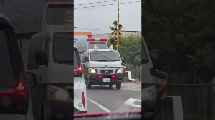🚨踏み切りを渡る警察車両🚨兵庫県警🚨パトカー🚨 #パトカー #警察車両 #兵庫県警 #shorts #shortvideo #short #shortsfeed