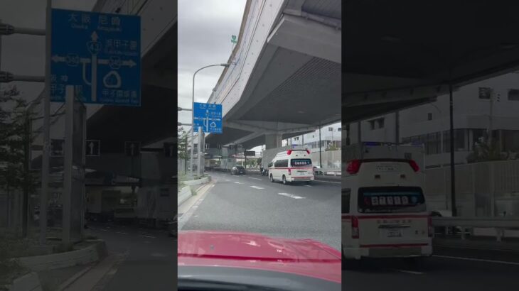 🚨救急車🚨緊急走行🚨尼崎市消防局🚨 #救急車 #緊急走行 #サイレン #尼崎市消防局 #shorts #shortvideo #short #shortsfeed
