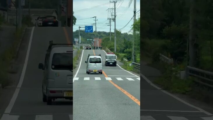 🚨パトカー🚨兵庫県警🚨ミニパト🚨パトロール🚨走行動画🚨 #パトカー #兵庫県警 #ミニパト #shorts #shortvideo #short #shortsfeed