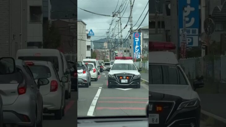 🚨パトカー🚨大阪府警🚨赤色灯🚨 #パトカー #大阪府警 #赤色灯 #shorts #shortvideo #short #shortsfeed