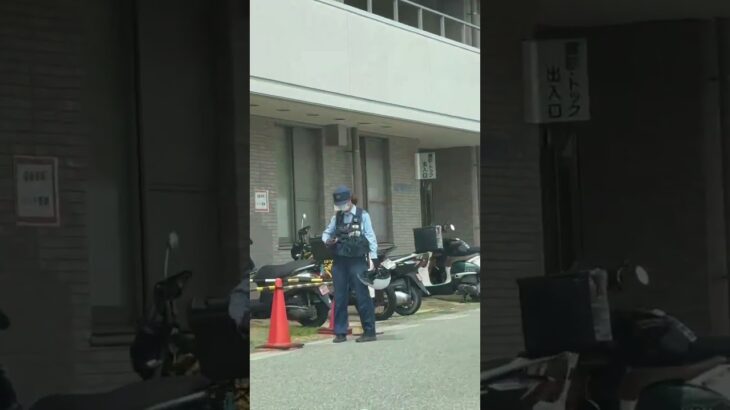 🫡対応中の女性警察官🫡 #女性警察官 #警察官 #兵庫県警 #shorts #shortvideo #short #shortsfeed