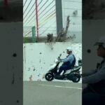 🫡🫡バイクの警察官が格好いい🫡🫡 #警察官 #警察バイク #兵庫県警 #走行動画 #shorts #shortvideo #short #shortsfeed