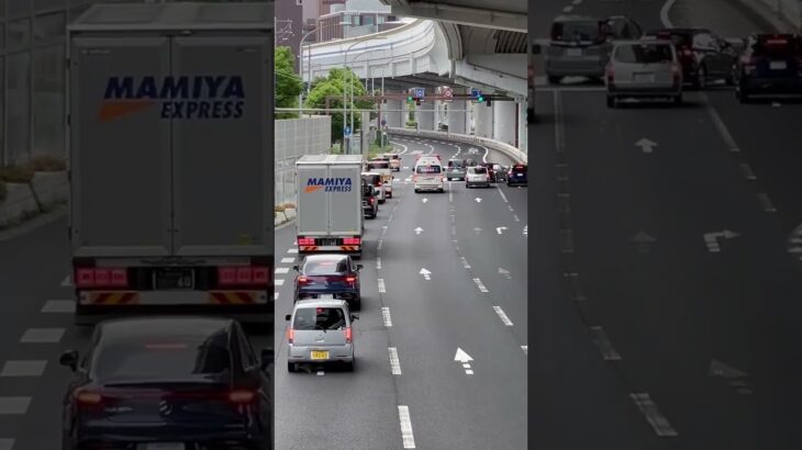 🚨響き渡るサイレン🚨救急車🚨緊急走行🚨尼崎市消防局🚨 #救急車 #緊急走行 #尼崎市消防局 #shorts #shortvideo #short #shortsfeed