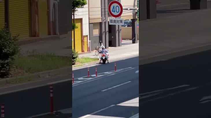 🚨🚨白バイを発見🚨🚨 #白バイ #白バイ隊員 #兵庫県警 #shorts #shortvideo #short #shortsfeed