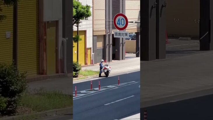 🫡🫡白バイ隊員さん🫡🫡 #白バイ #白バイ隊員 #兵庫県警 #shorts #shortvideo #short #shortsfeed