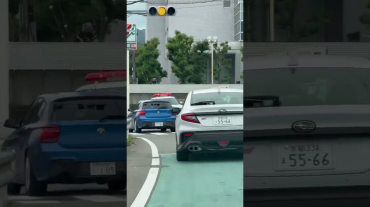 🚨パトカー🚨兵庫県警🚨赤色灯🚨パトロール🚨 #パトカー #兵庫県警 #赤色灯 #走行動画 #shorts #shortvideo #short #shortsfeed