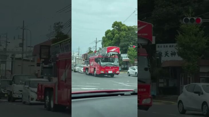 😳😳凄いハシゴ車に遭遇😳😳格好いい☺️☺️ #ハシゴ車 #消防車 #shorts #shortvideo #short #shortsfeed