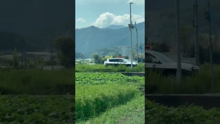 😳😳😳珍しいパトカーに遭遇😳😳😳 #パトカー #兵庫県警 #赤色灯 #shorts #shortvideo #short #shortsfeed
