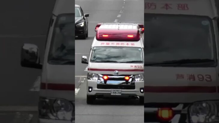 🚨救急車🚨緊急走行🚨響き渡るサイレン🚨芦屋市消防本部🚨 #救急車 #緊急走行 #shorts #shortvideo #short #shortsfeed