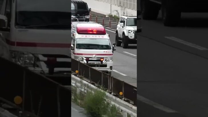 🚨救急車🚨緊急走行🚨芦屋市消防本部🚨 #救急車 #緊急走行 #shorts #shortvideo #short #shortsfeed