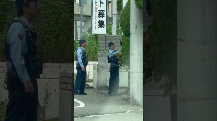【現場検証をする警察官】 #警察官 #兵庫県警 #現場検証 #警察 #shorts #shortvideo #short #shortsfeed