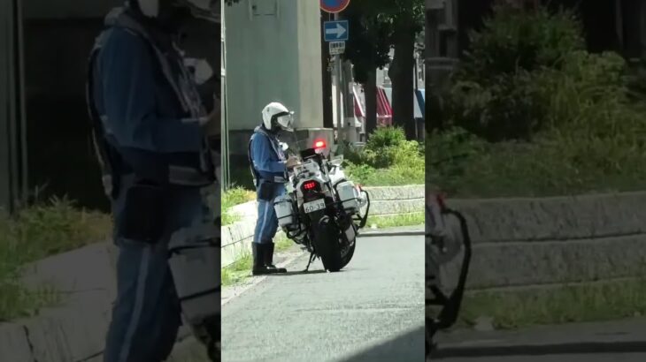 😳😳😳白バイを発見😳😳😳 #白バイ #白バイ隊員 #兵庫県警 #赤色灯 #shorts #shortvideo #short #shortsfeed