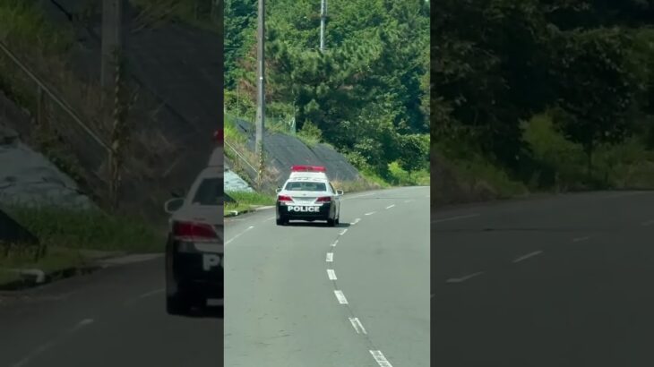 🚨パトカー🚨兵庫県警🚨パトロール🚨赤色灯🚨 #パトカー #兵庫県警 #走行動画 #赤色灯 #クラウンパトカー #shorts #shortvideo #short #shortsfeed