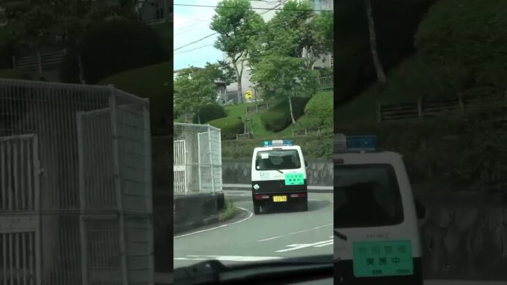 🫡🫡地域のパトロールカー🫡🫡 #パトロール #パトロールカー #走行動画 #shorts #shortvideo #short #shortsfeed