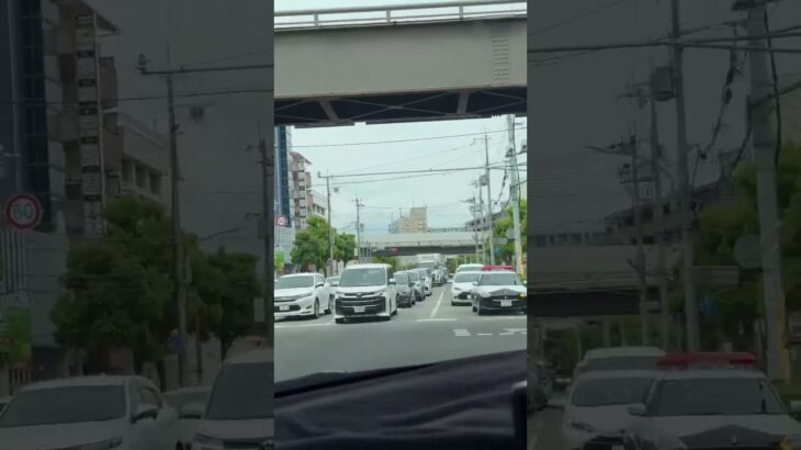 🚨パトカー🚨パトロール🚨兵庫県警🚨 #パトカー #兵庫県警 #ミニパト #shorts #shortvideo #shortsfeed #short
