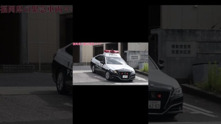 【緊急走行】福岡県警察 自動車警ら隊 パトカー 緊急走行