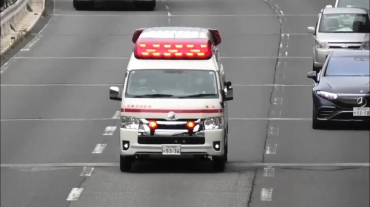 🚨救急車🚨緊急走行🚨響き渡るサイレン🚨尼崎市消防局🚨 #救急車 #緊急走行 #尼崎市消防局